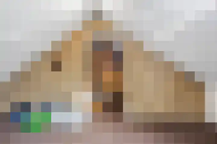 Bernhardstraat 10 Beek thumbnail 28