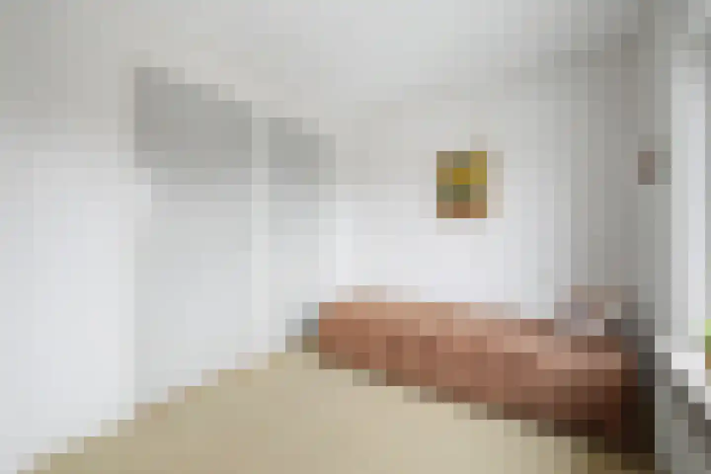 Bernhardstraat 10 Hoek thumbnail 17