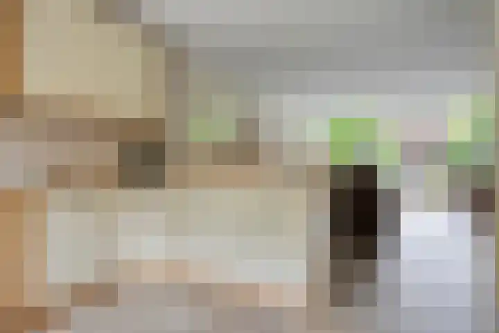 Bernhardstraat 10 Zoeterwoude thumbnail 12