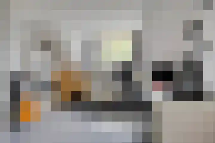 Bernhardstraat 10 Zoeterwoude thumbnail 28