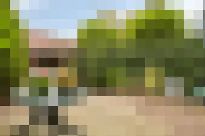 Bernhardstraat 10 Zoeterwoude thumbnail 30