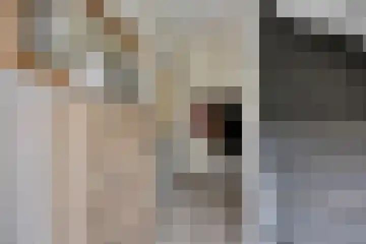 Bernhardstraat 10 Zoeterwoude thumbnail 6
