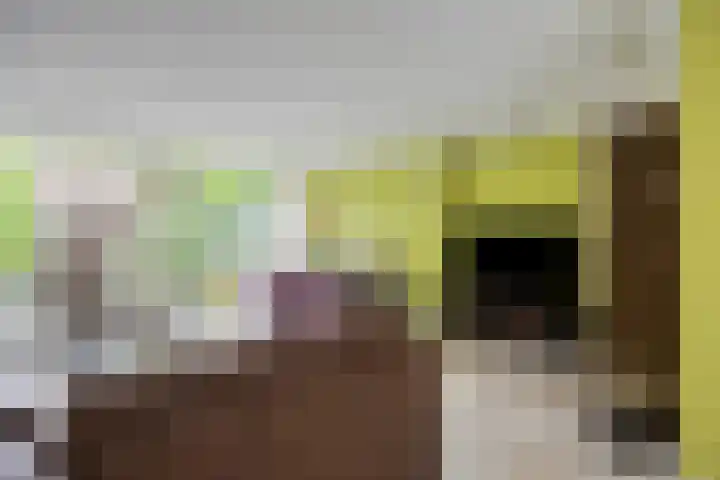 Bernhardstraat 10 Zoeterwoude thumbnail 8