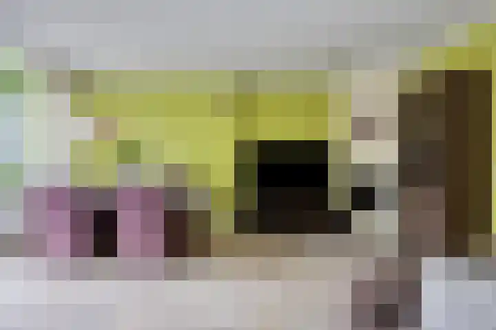 Bernhardstraat 10 Zoeterwoude thumbnail 9
