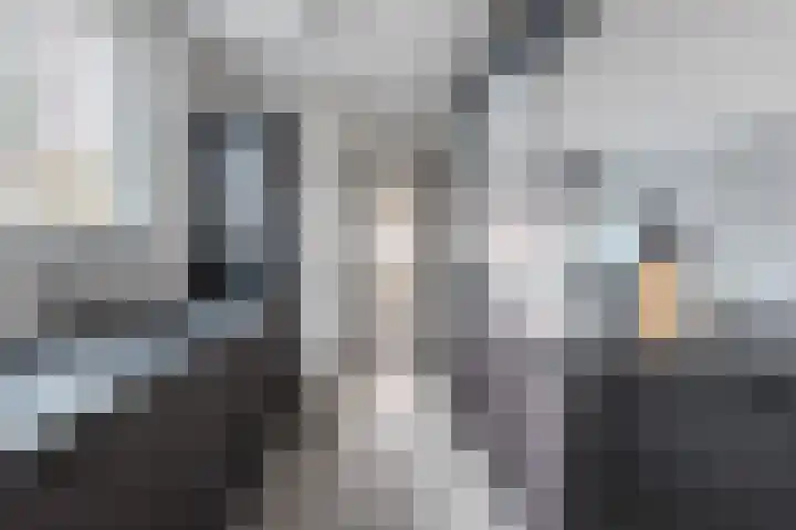 Bernhardstraat 11 Linne thumbnail 10