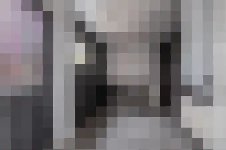 Bernhardstraat 11 Linne thumbnail 11