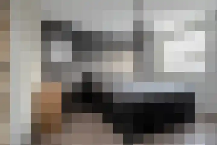 Bernhardstraat 11 Linne thumbnail 14