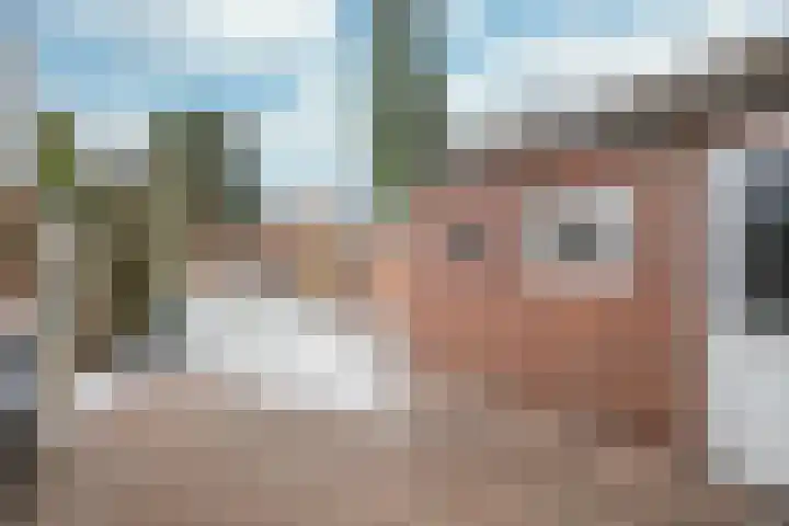 Bernhardstraat 11 Linne thumbnail 18