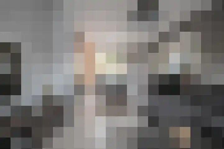 Bernhardstraat 11 Linne thumbnail 4