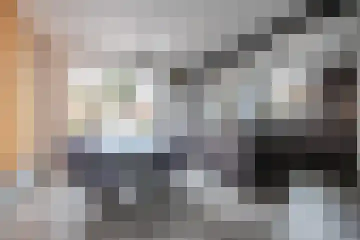 Bernhardstraat 11 Linne thumbnail 5
