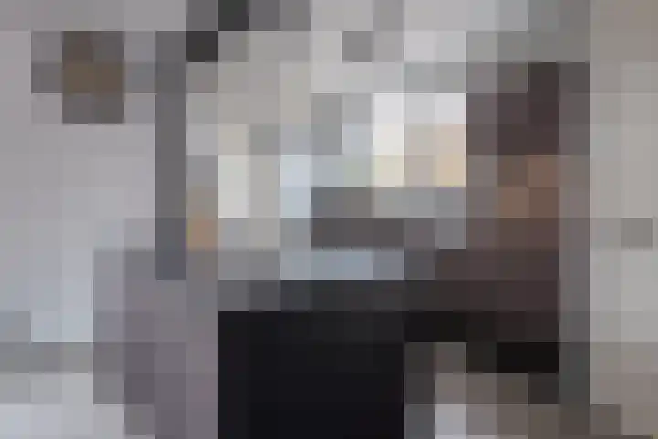 Bernhardstraat 11 Linne thumbnail 8