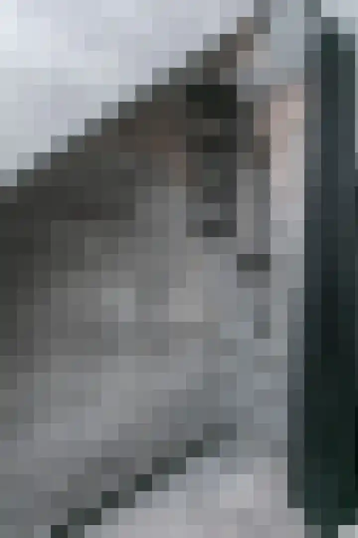 Bernhardstraat 11 Merkelbeek thumbnail 18