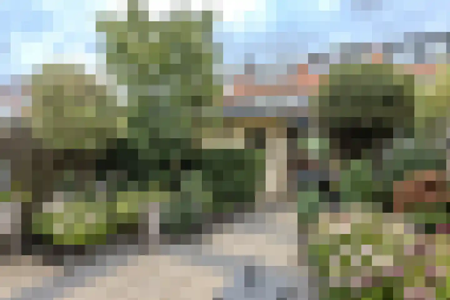 Bernhardstraat 11 Rhoon thumbnail 11