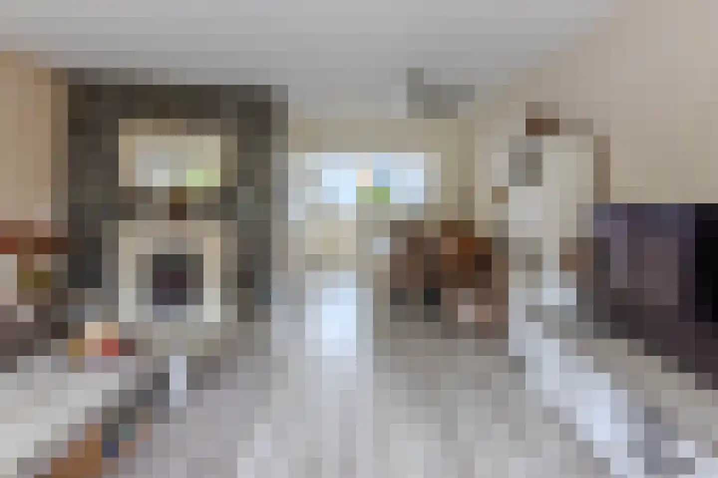 Bernhardstraat 11 Rhoon thumbnail 13