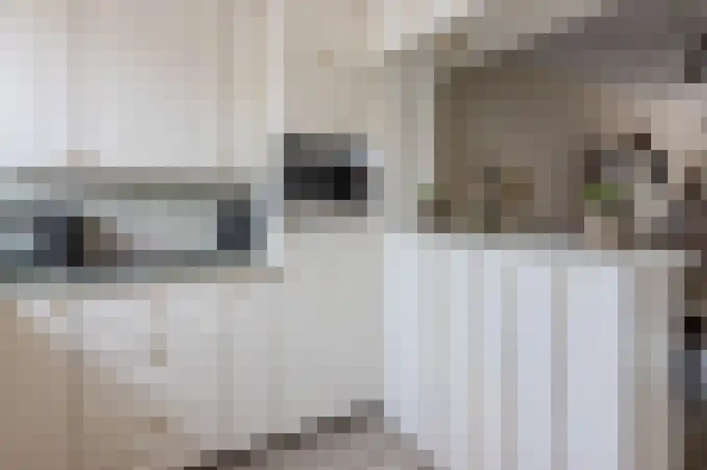 Bernhardstraat 11 Rhoon thumbnail 16