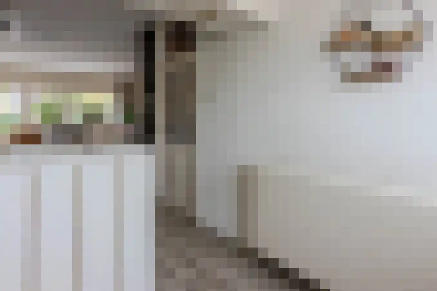 Bernhardstraat 11 Rhoon thumbnail 17