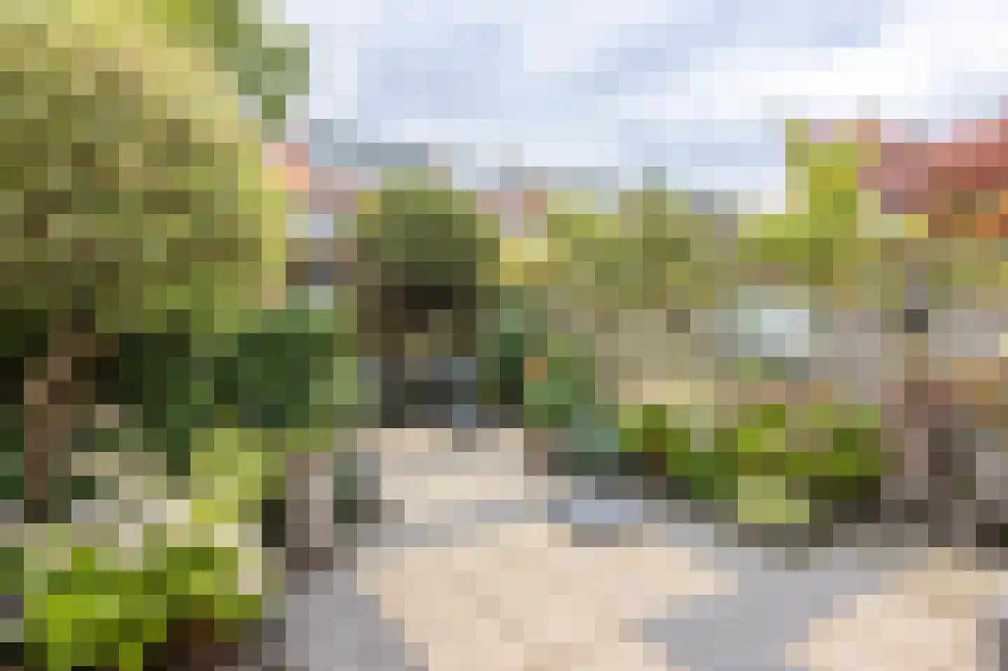 Bernhardstraat 11 Rhoon thumbnail 4