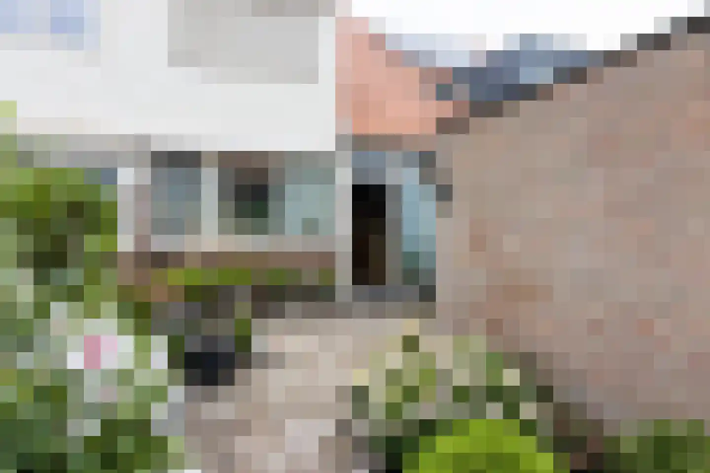 Bernhardstraat 11 Rhoon thumbnail 5