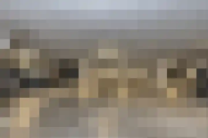 Bernhardstraat 118 Schagen thumbnail 5