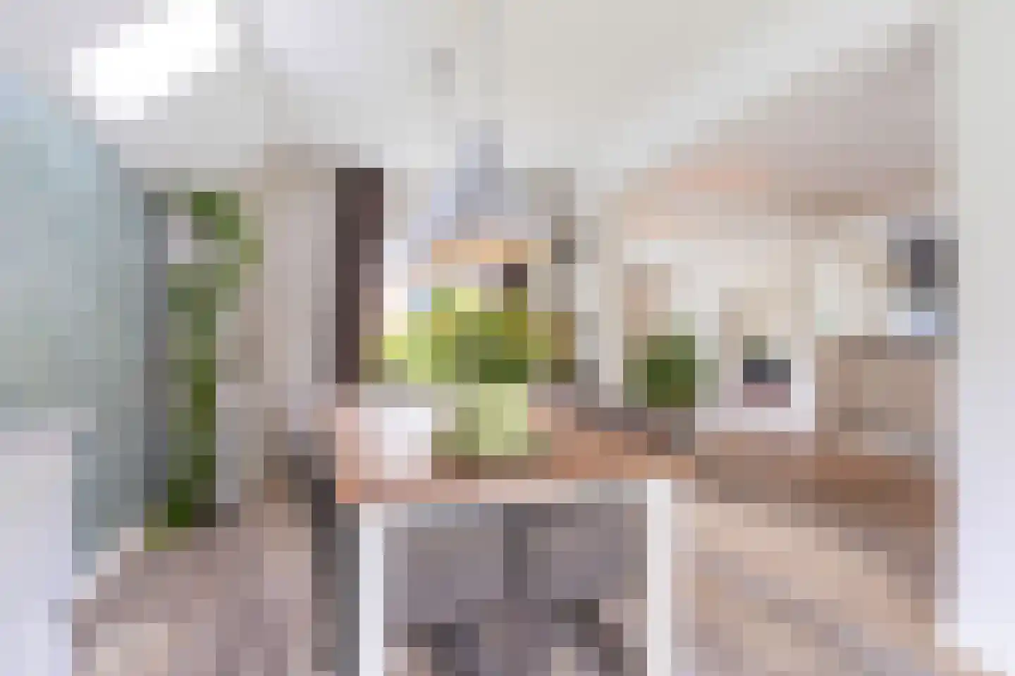 Bernhardstraat 12 Avenhorn thumbnail 12