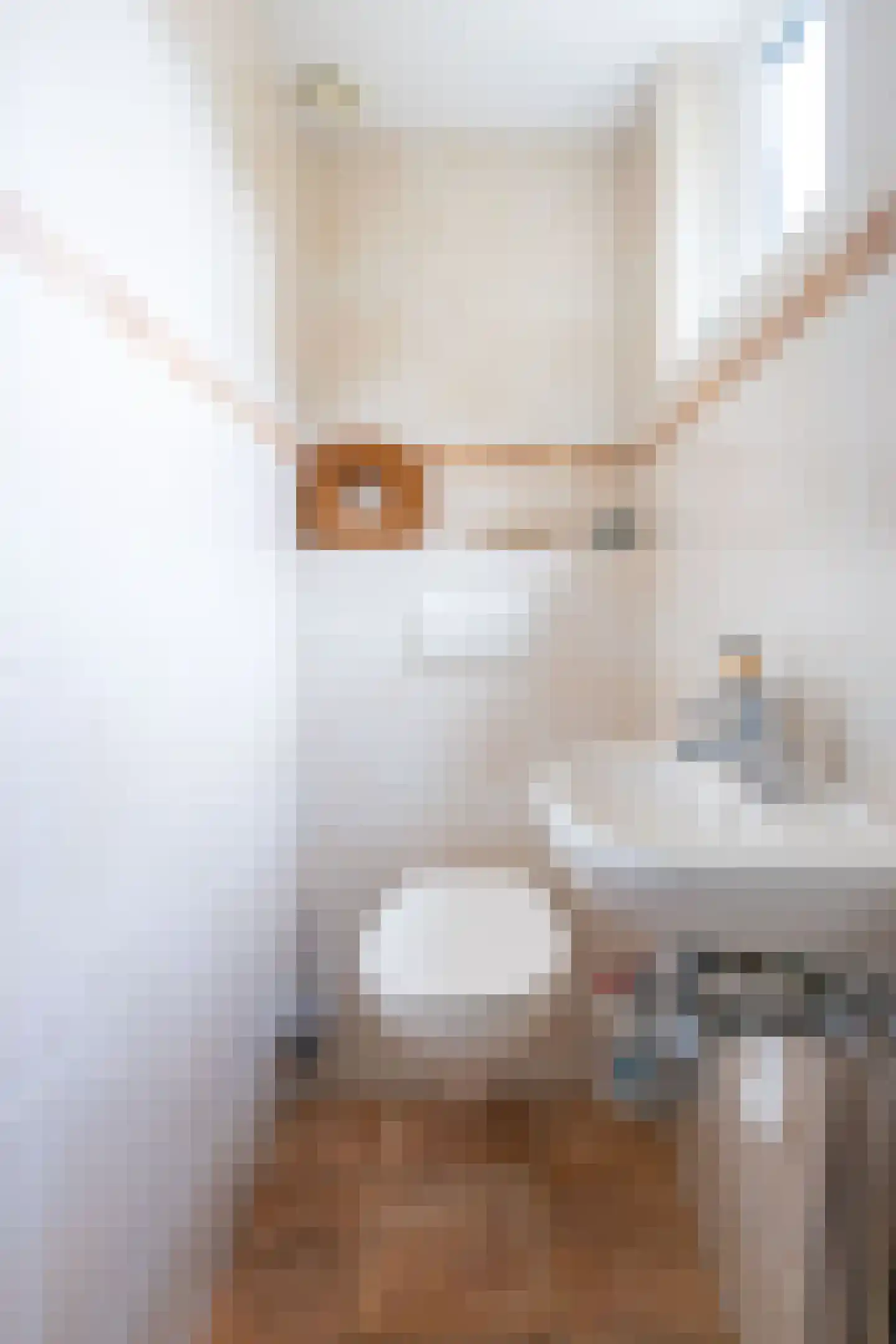 Bernhardstraat 12 Avenhorn thumbnail 19