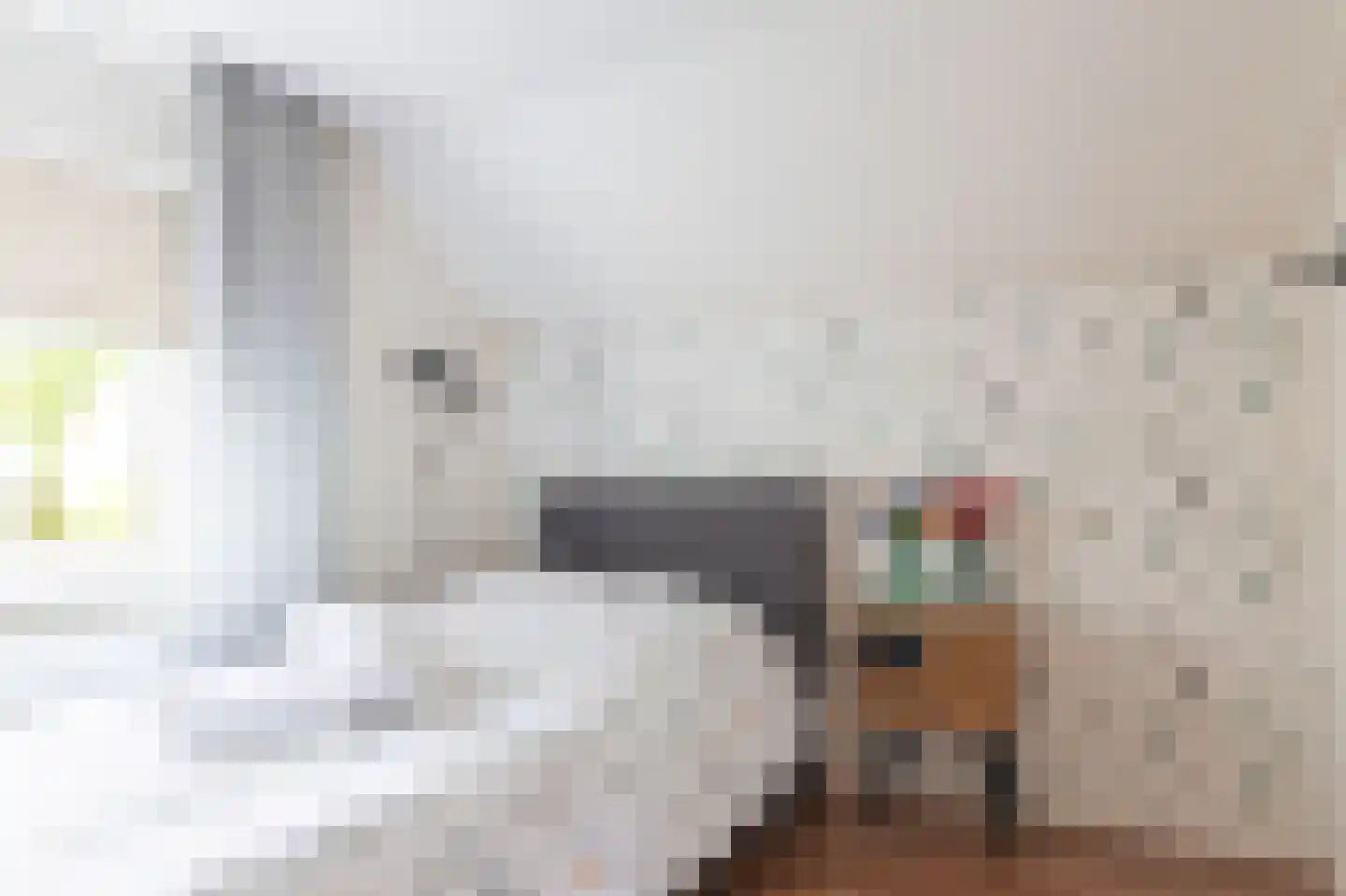Bernhardstraat 12 Avenhorn thumbnail 33