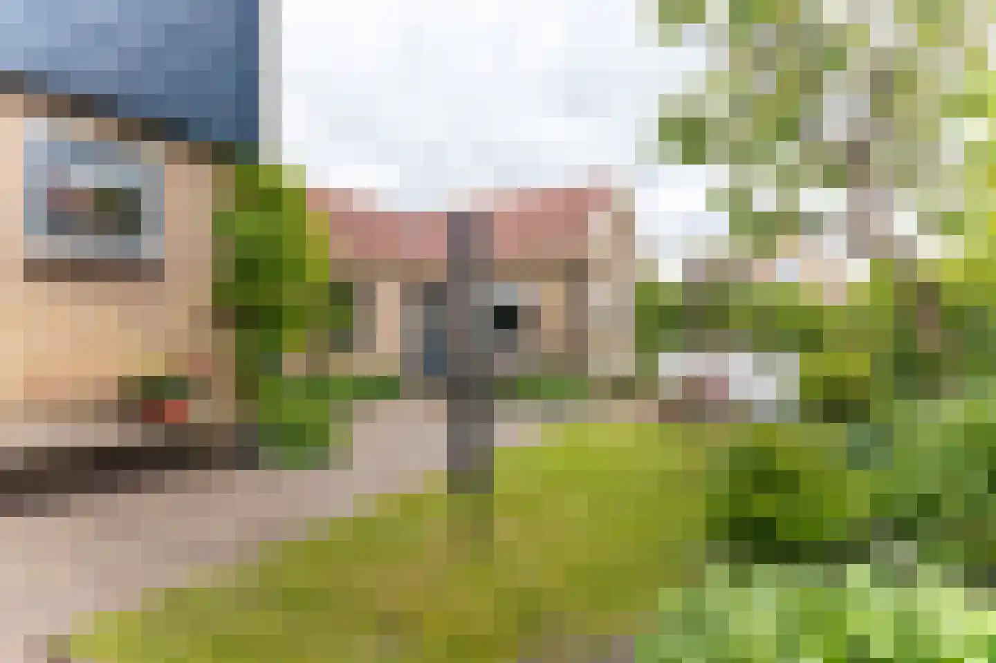 Bernhardstraat 12 Avenhorn thumbnail 37