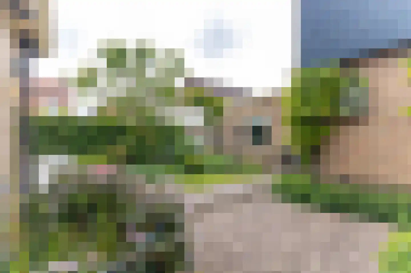 Bernhardstraat 12 Avenhorn thumbnail 40
