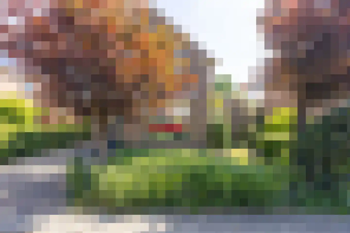 Bernhardstraat 12 Avenhorn thumbnail 48