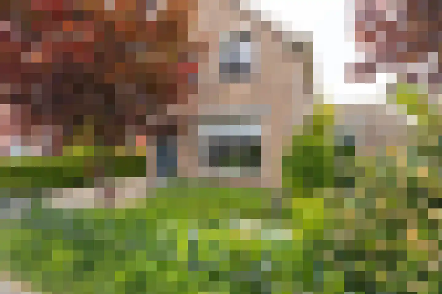 Bernhardstraat 12 Avenhorn thumbnail 49