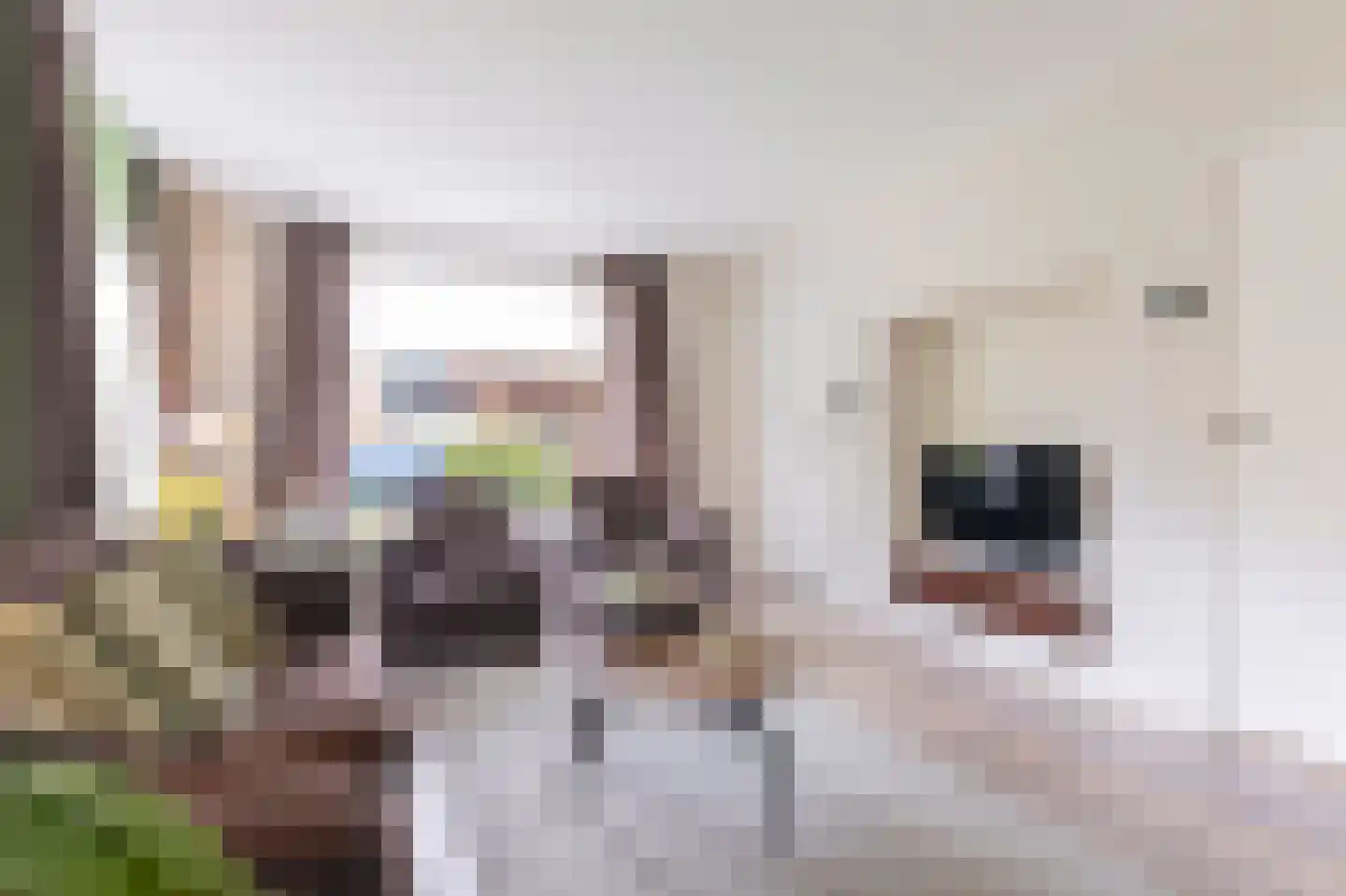 Bernhardstraat 12 Avenhorn thumbnail 8