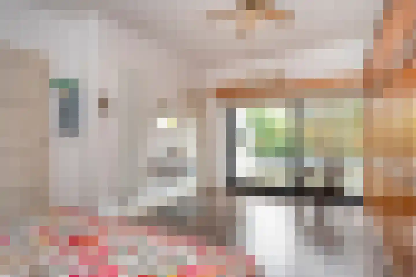 Bernhardstraat 12 Geleen thumbnail 38