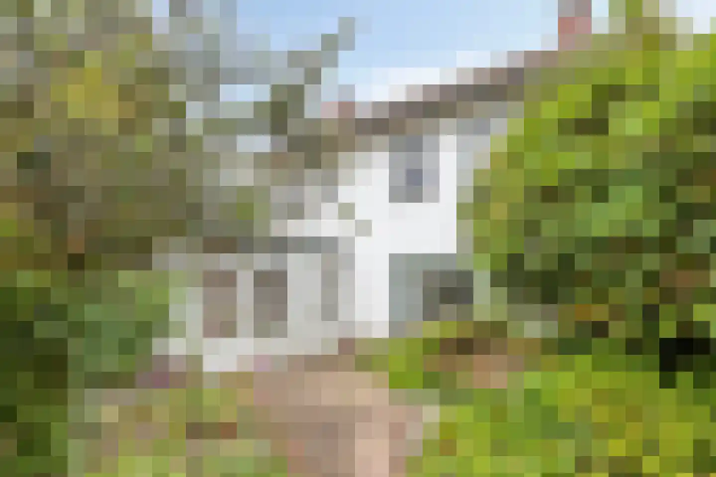Bernhardstraat 12 Nederweert thumbnail 30