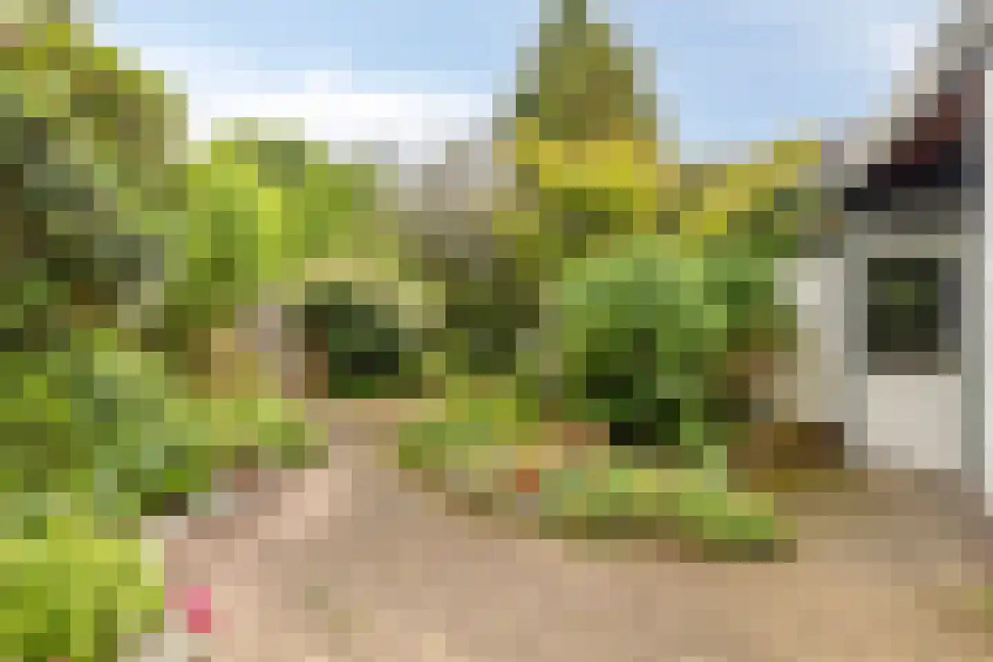 Bernhardstraat 12 Nederweert thumbnail 31