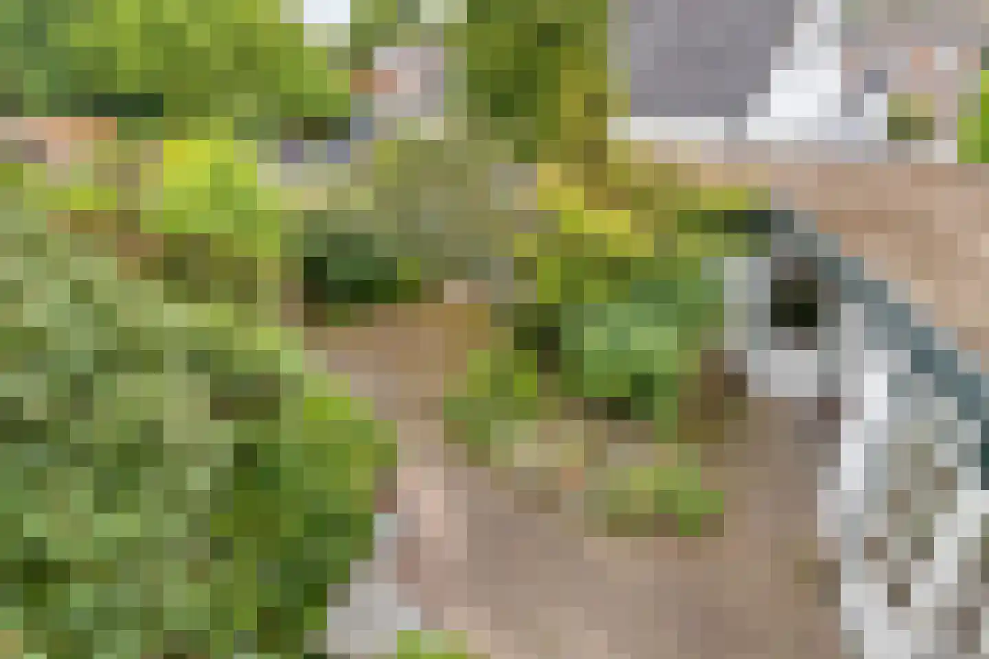 Bernhardstraat 12 Nederweert thumbnail 32