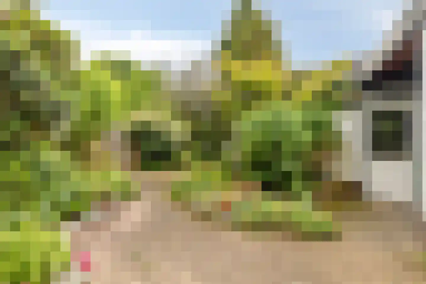 Bernhardstraat 12 Nederweert thumbnail 4