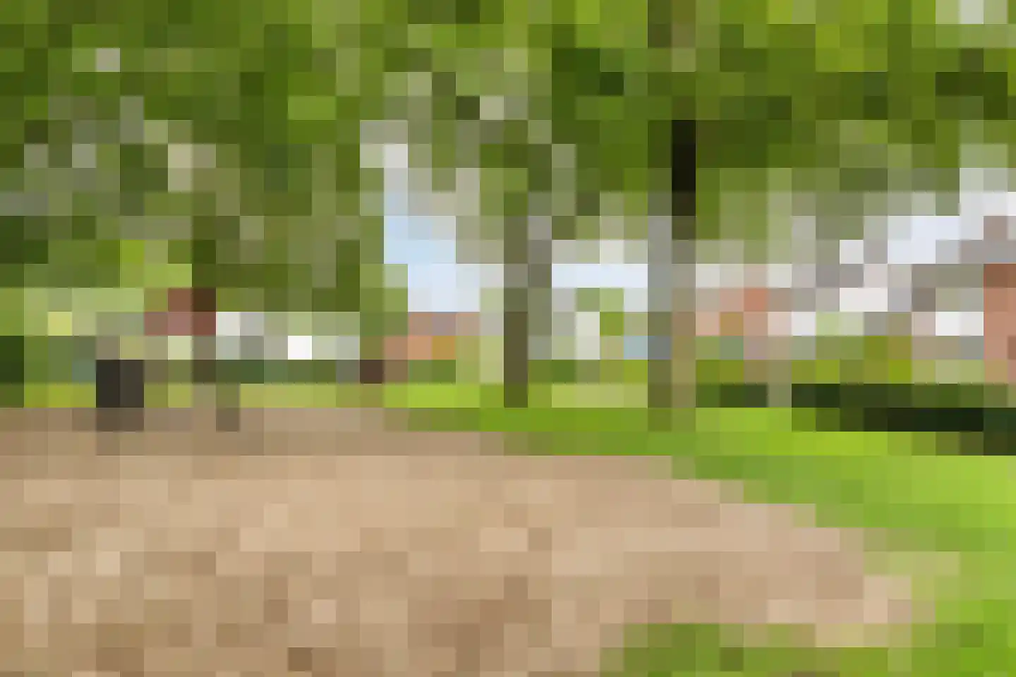Bernhardstraat 12 Nederweert thumbnail 40