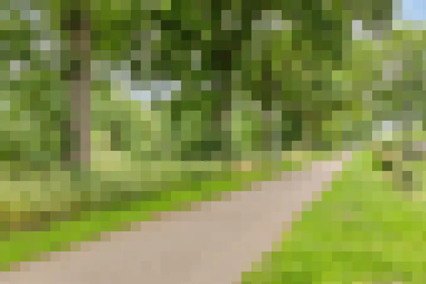 Bernhardstraat 12 Nederweert thumbnail 42