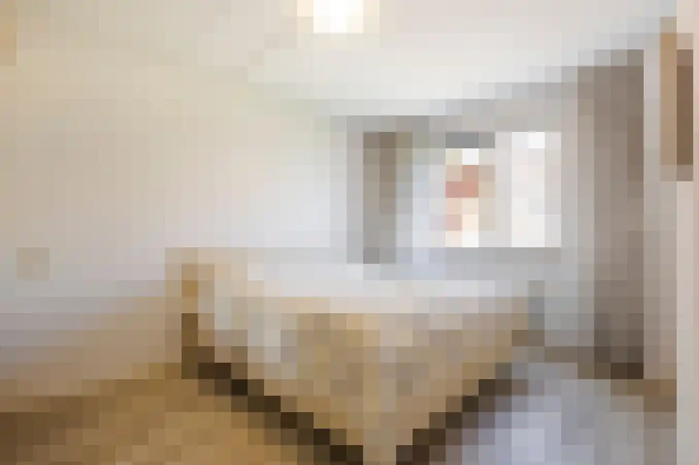 Bernhardstraat 123 Groot-Ammers thumbnail 24