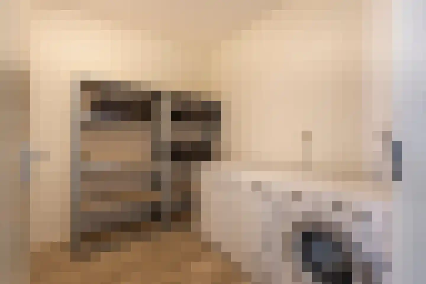 Bernhardstraat 123 Groot-Ammers thumbnail 30