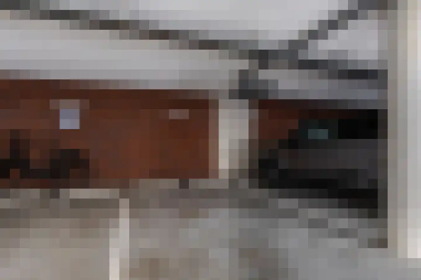 Bernhardstraat 123 Groot-Ammers thumbnail 33