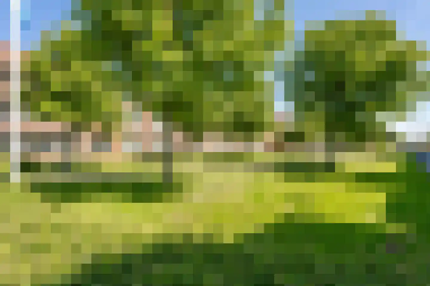 Bernhardstraat 123 Groot-Ammers thumbnail 37