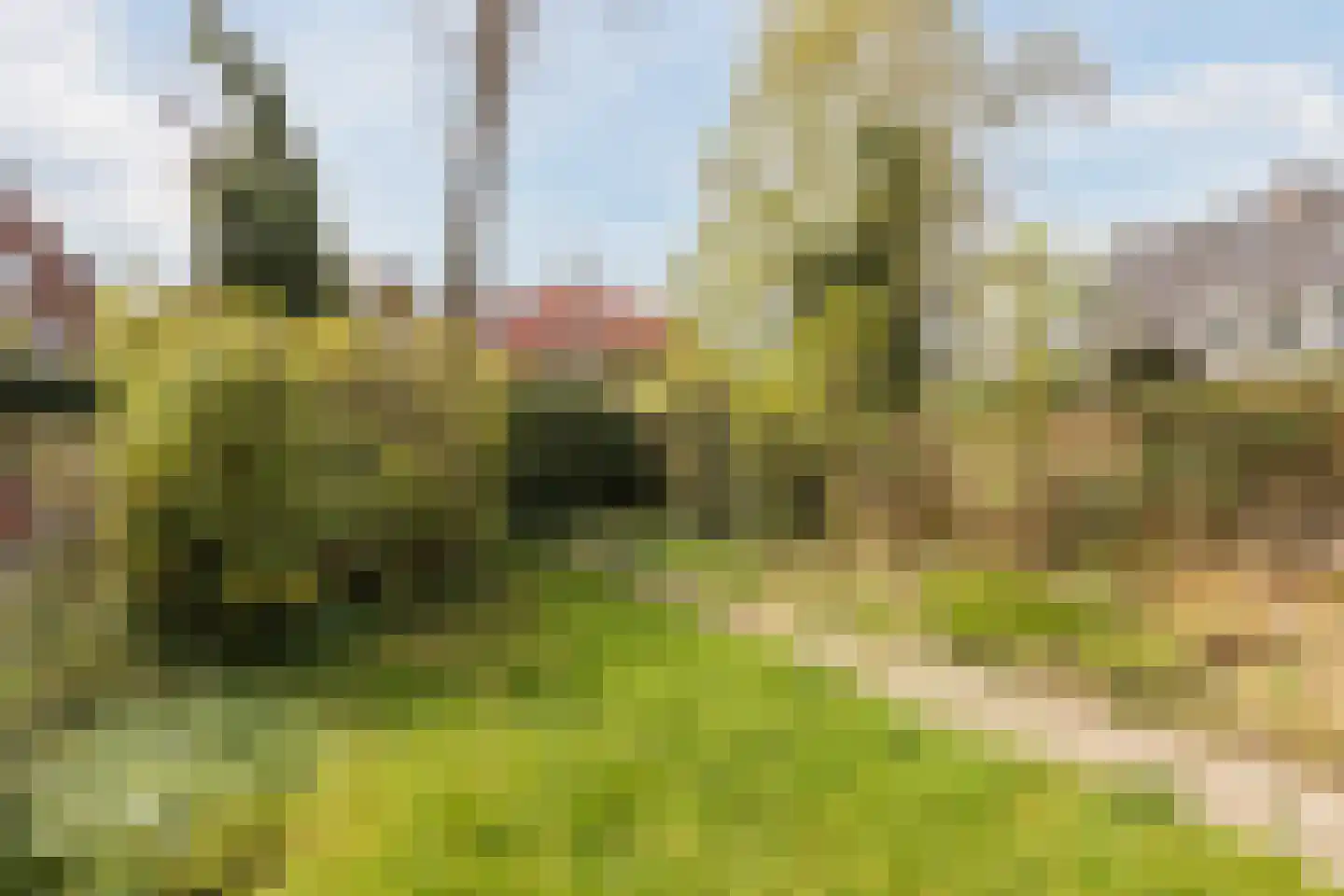 Bernhardstraat 13 Wageningen thumbnail 33