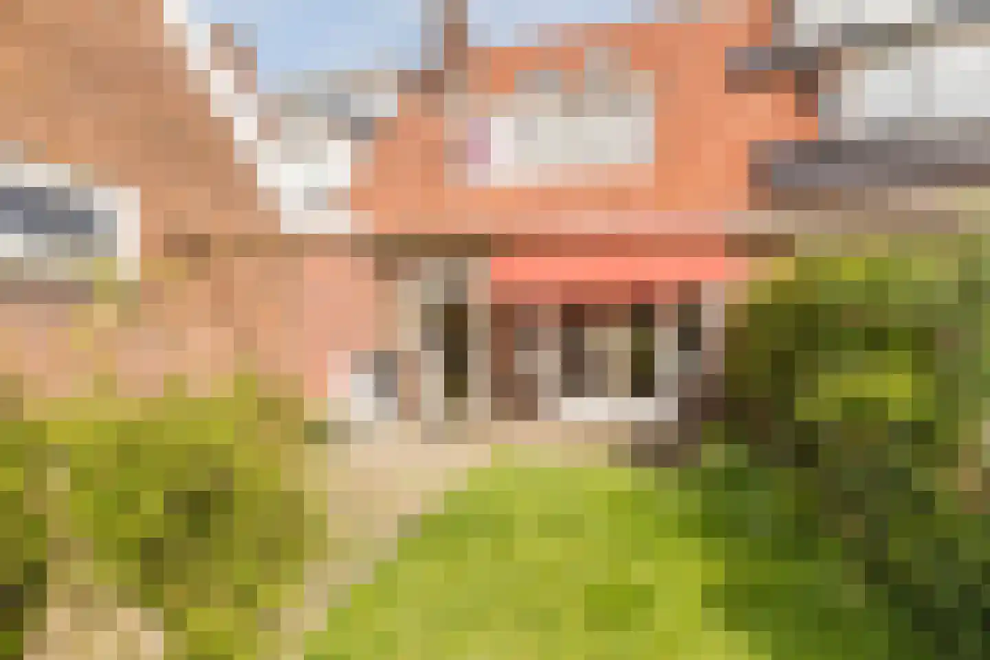 Bernhardstraat 13 Wageningen thumbnail 35