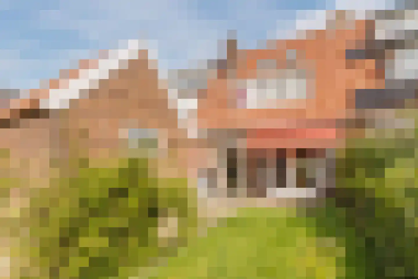 Bernhardstraat 13 Wageningen thumbnail 36