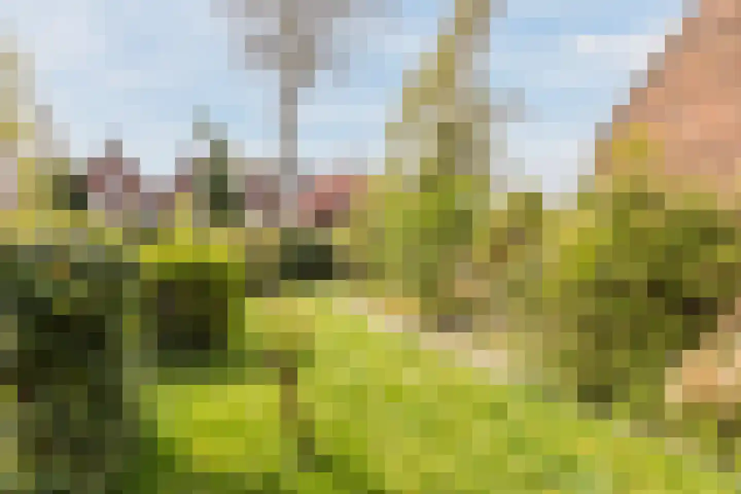Bernhardstraat 13 Wageningen thumbnail 4