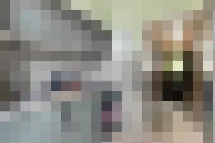 Bernhardstraat 14 Rhoon thumbnail 7