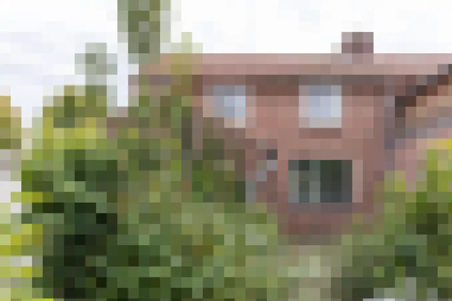 Bernhardstraat 15 Groenlo thumbnail 31