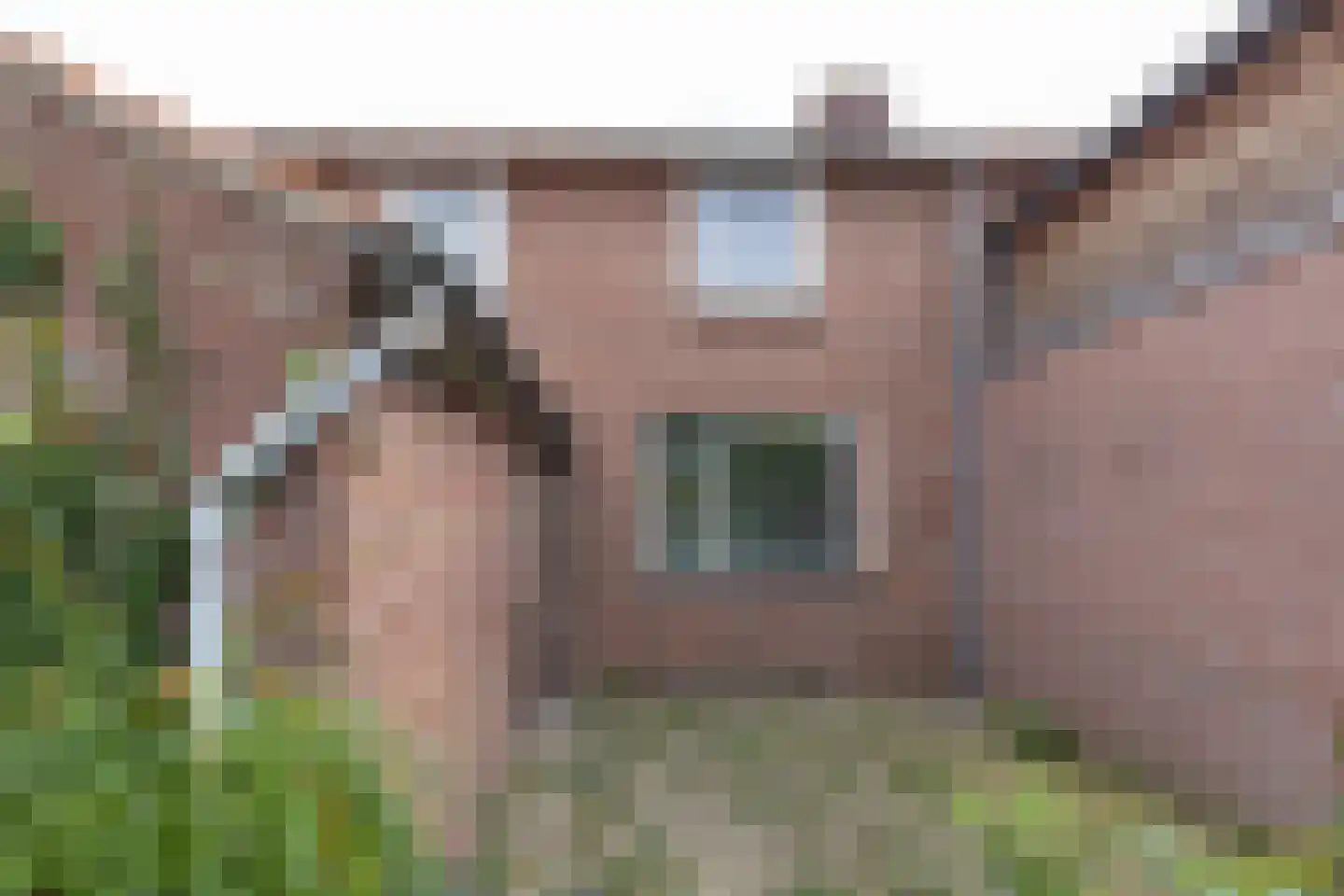 Bernhardstraat 15 Groenlo thumbnail 33