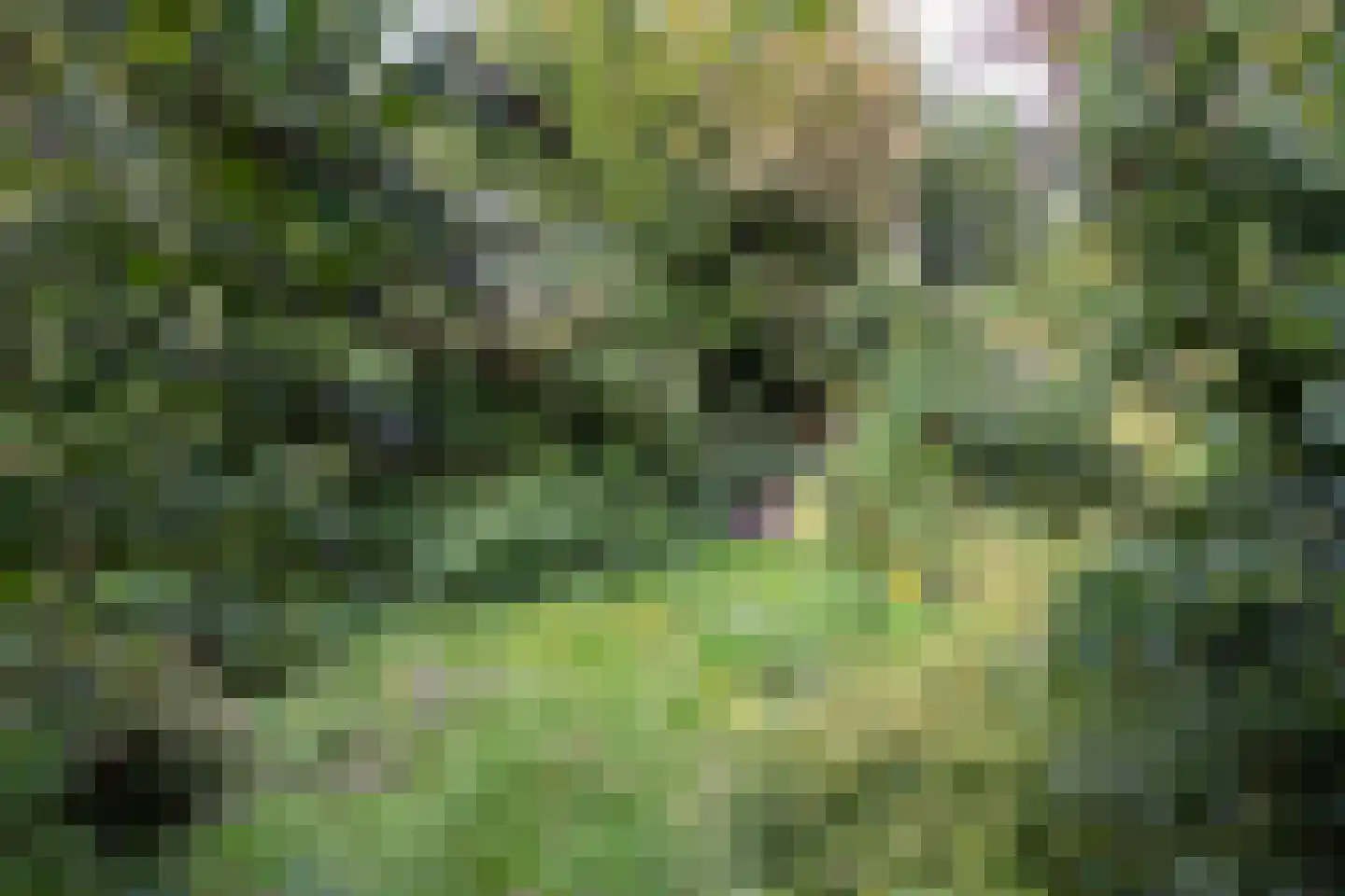 Bernhardstraat 15 Groenlo thumbnail 35